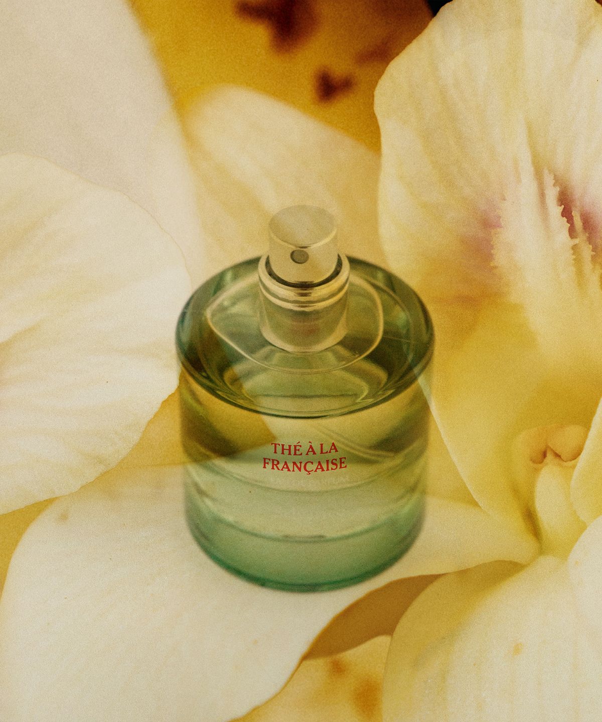 셀바티코(SELVATICO) 떼알라 프랑세즈 오 드 퍼퓸 100ml