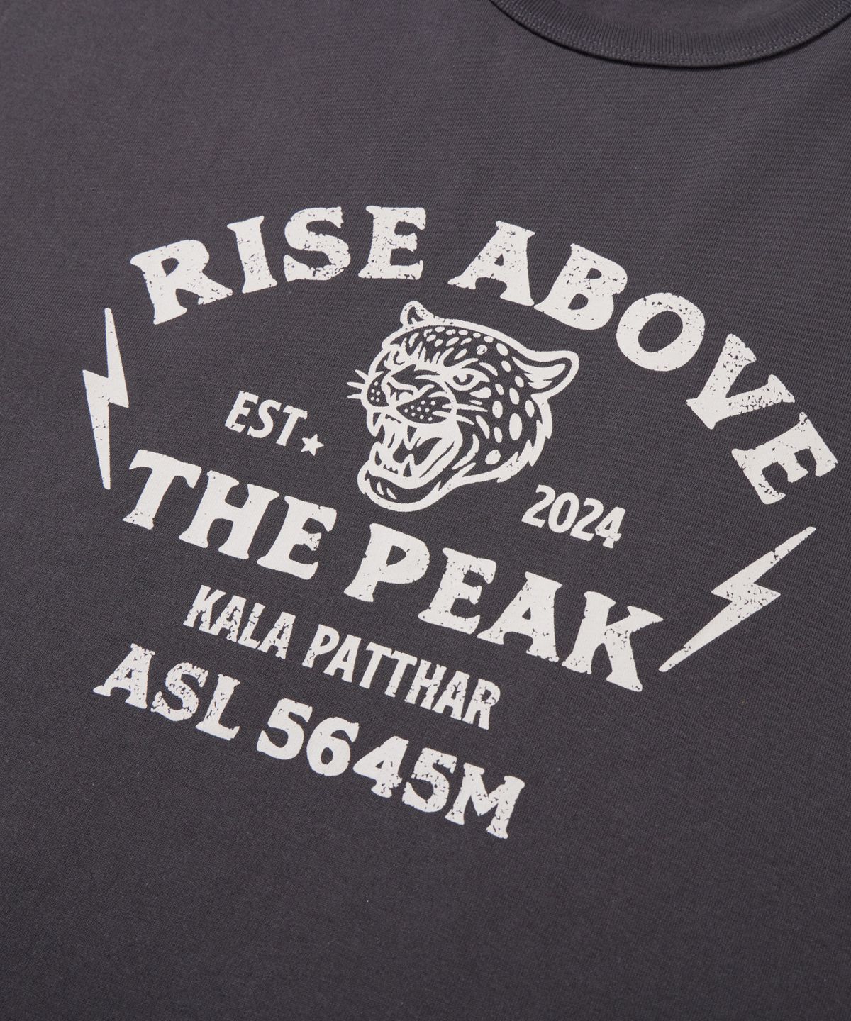 칼라파타르(KALAPATTHAR) KP SLOGAN TIGER GRAPHIC SHORT-SLEEVED T-SHIRT - GREY