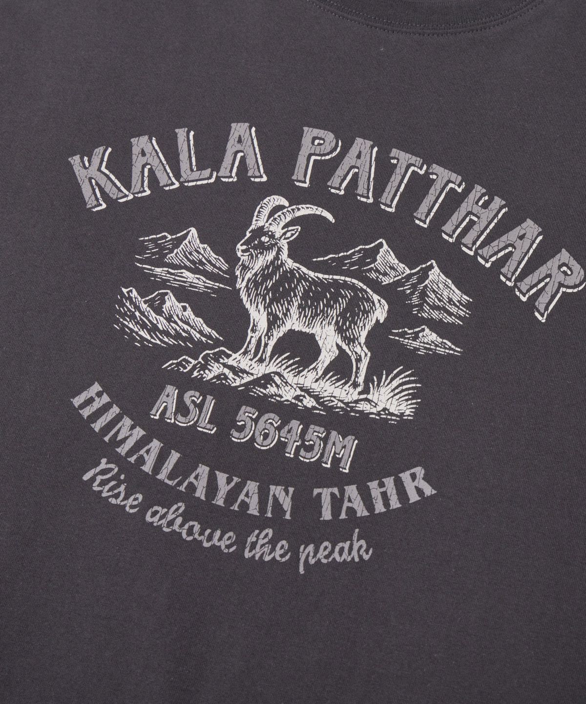 칼라파타르(KALAPATTHAR) VINTAGE KP DEER GRAPHIC SHORT-SLEEVED T-SHIRT - GREY