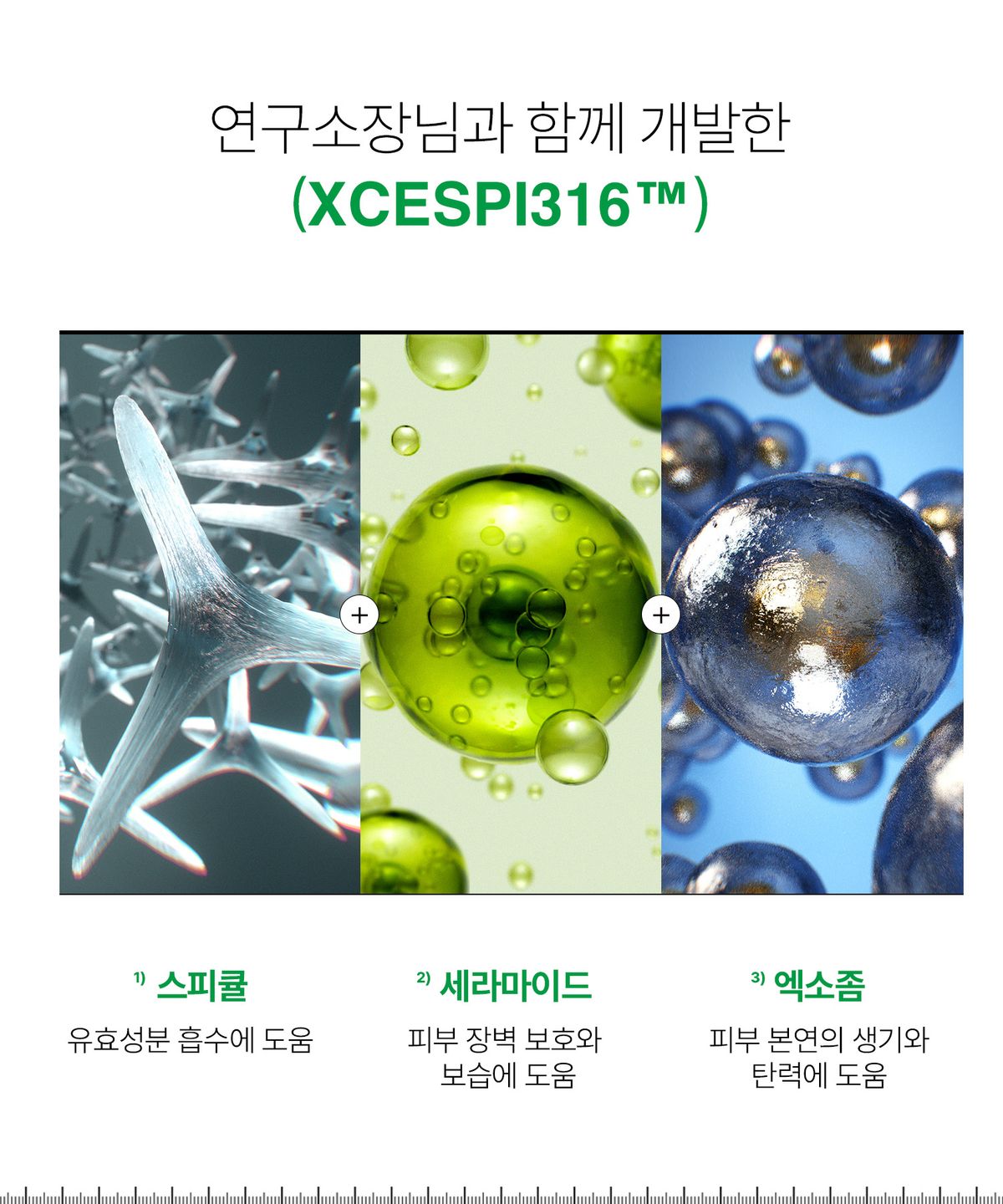 인포디플러스(INFODPLUS) 엑세스피316 젤 클렌저