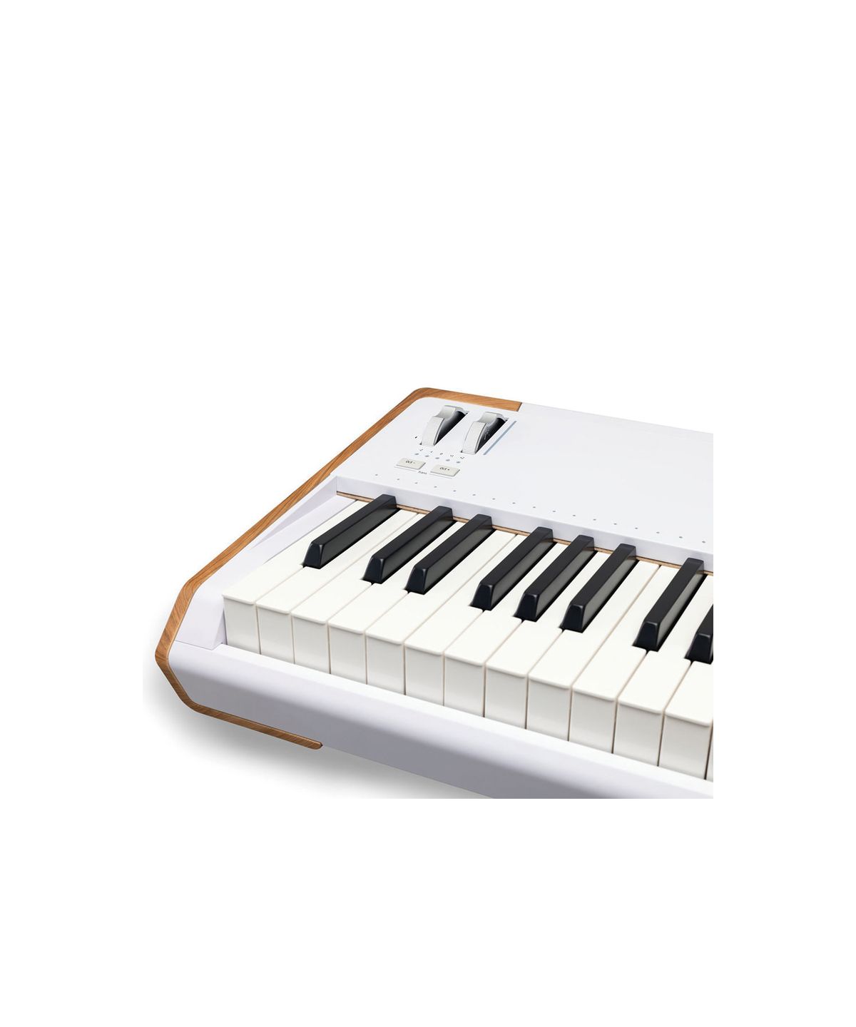 아투리아(ARTURIA) Astrolab 88 아투리아 아스트로랩 88건반 스테이지 피아노 키보드 신디사이저