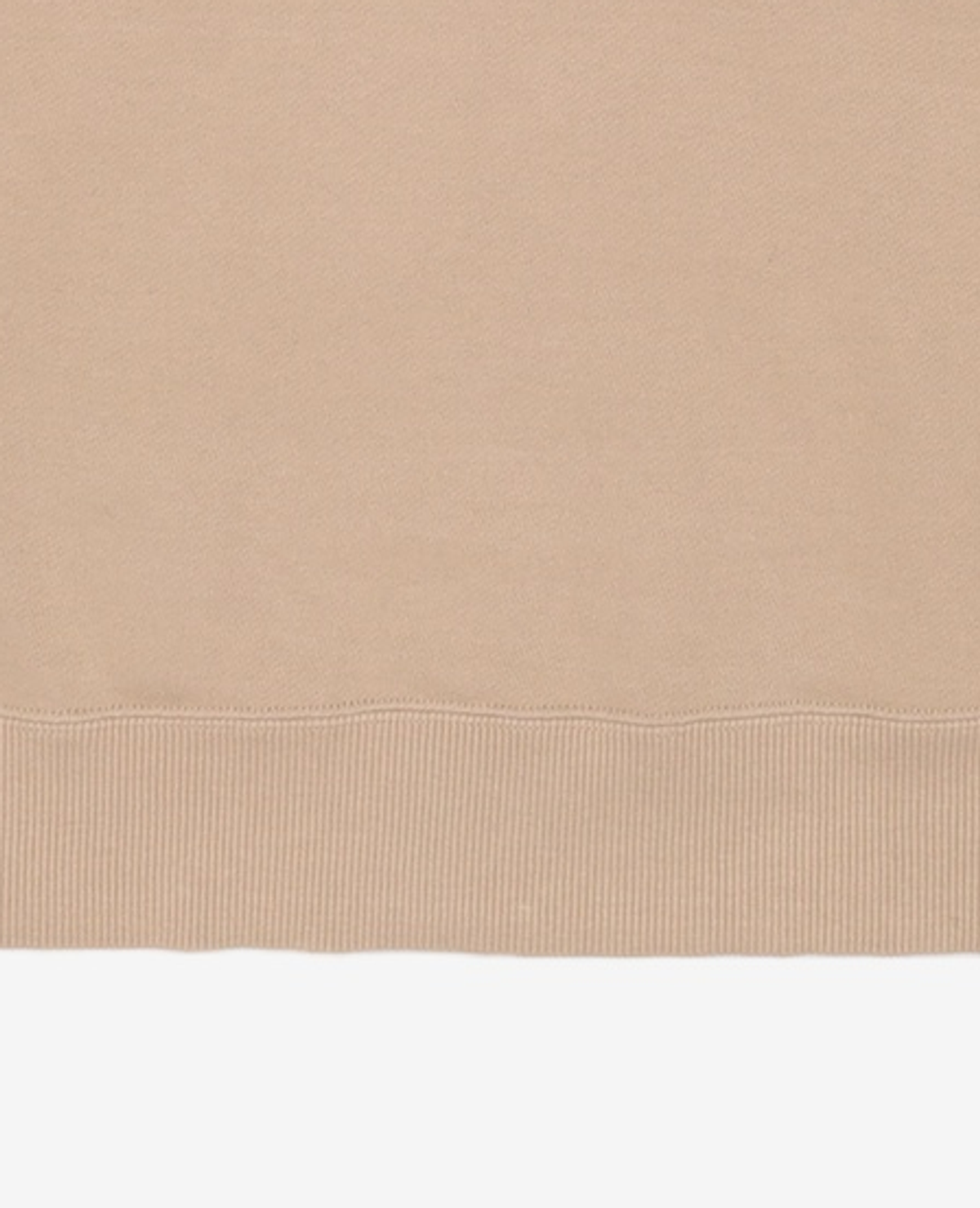 챔피온(CHAMPION) [ASIA] 후디드 스웨트셔츠 (NORMAL BEIGE) CKTS1E726I2 XL