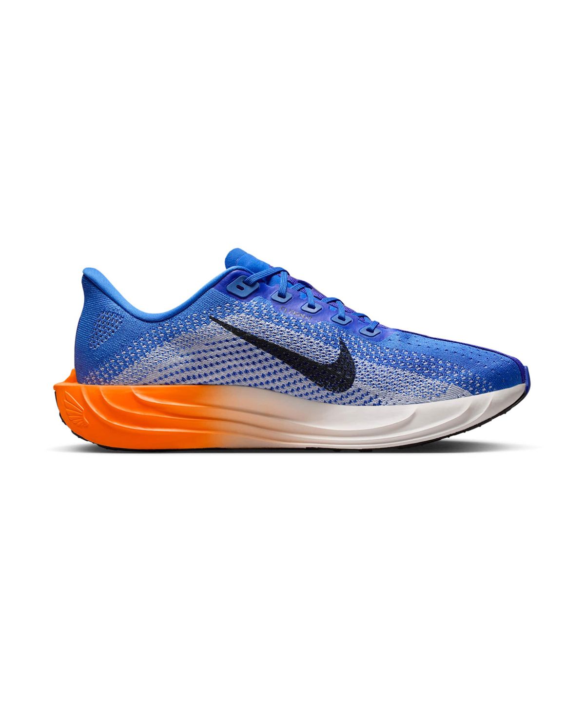 나이키(NIKE) 페가수스 플러스 M - 크리스털 블루:하이드로젠 블루:래피스:오프 누아르 / FQ7262-403