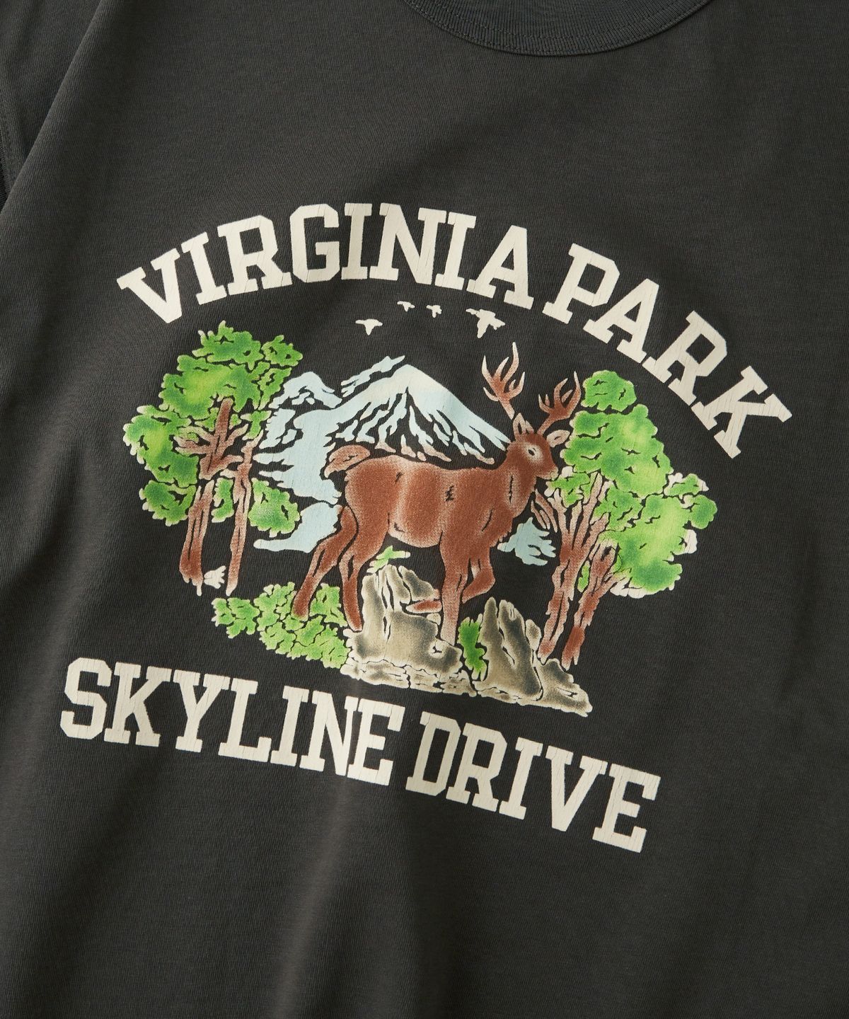 아웃스탠딩(OUTSTANDING) V.S.C TEE(VIRGINIA PARK)_CHARCOAL