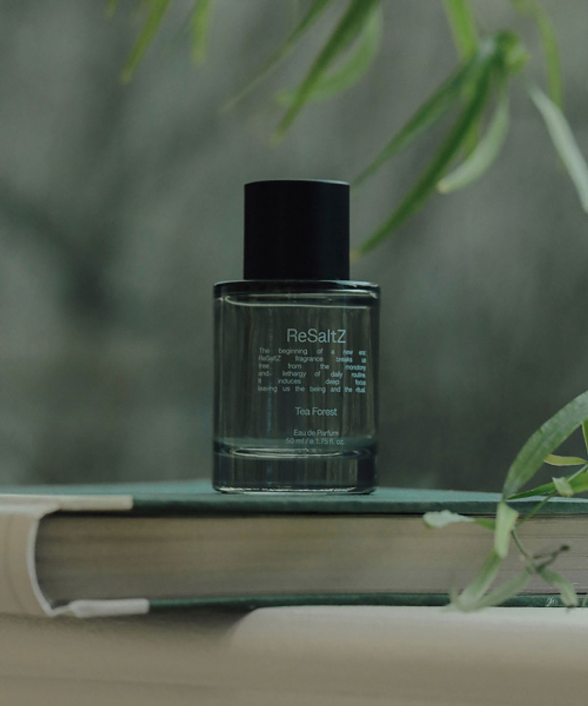 리솔츠(RESALTZ) 오드퍼퓸 티포레스트 50ml