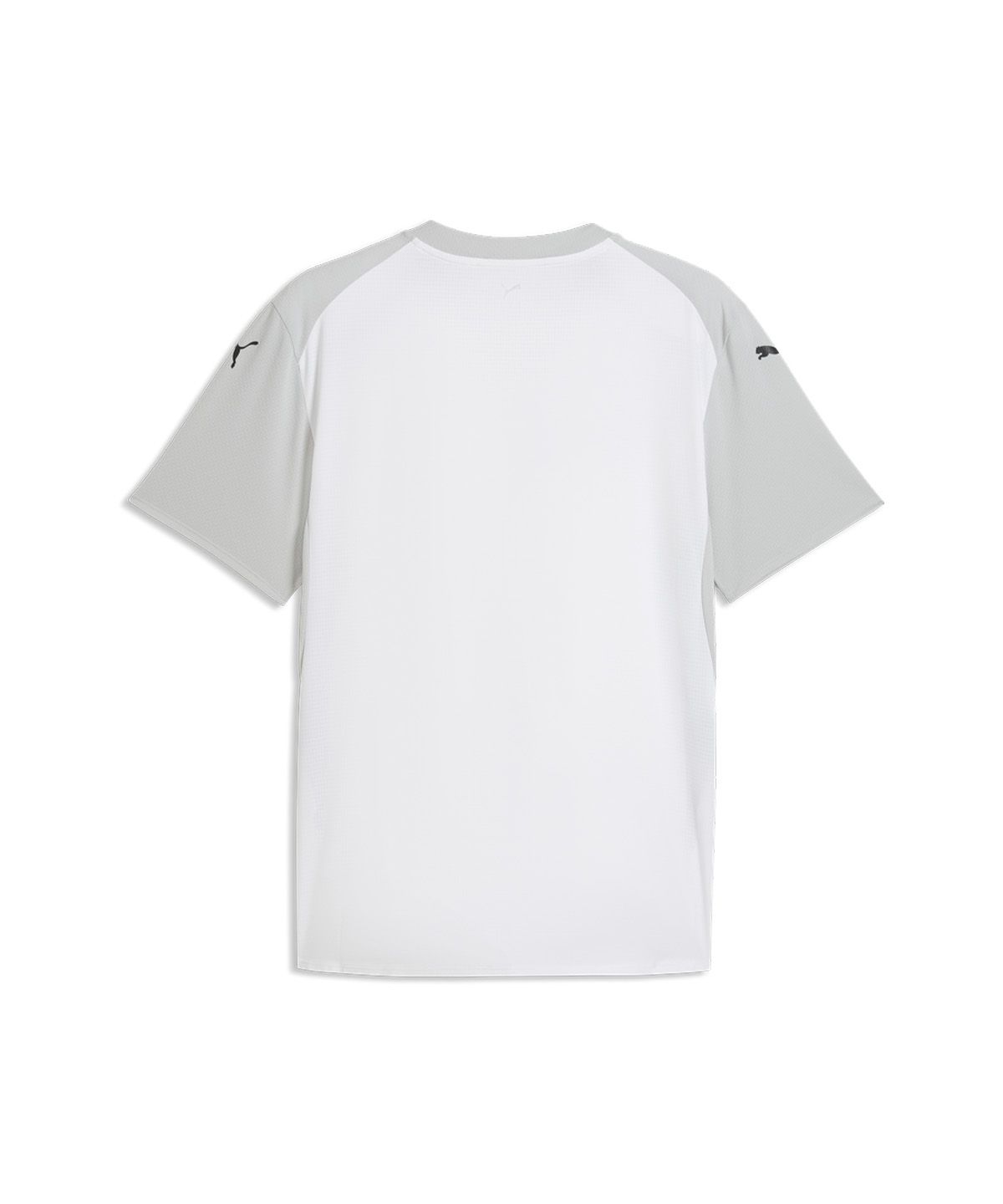 푸마(PUMA) teamFINAL26 Ultraweave Jersey