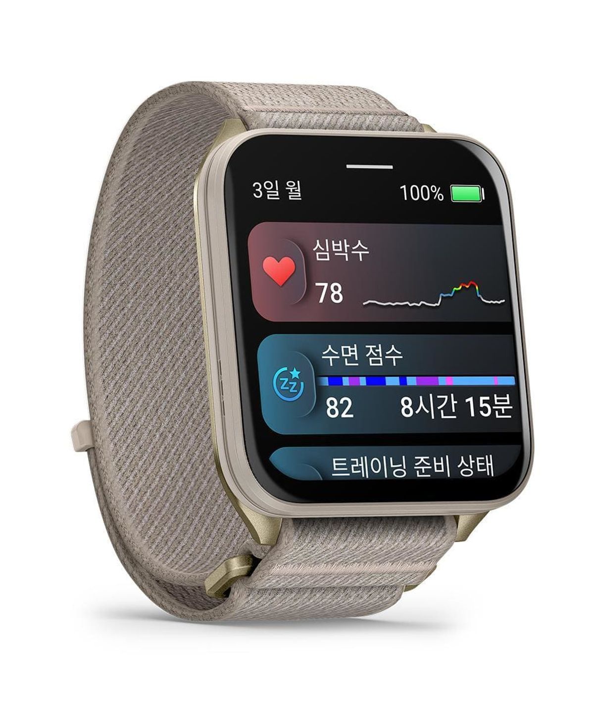 가민(GARMIN) 베뉴 X1 프렌치 그레이