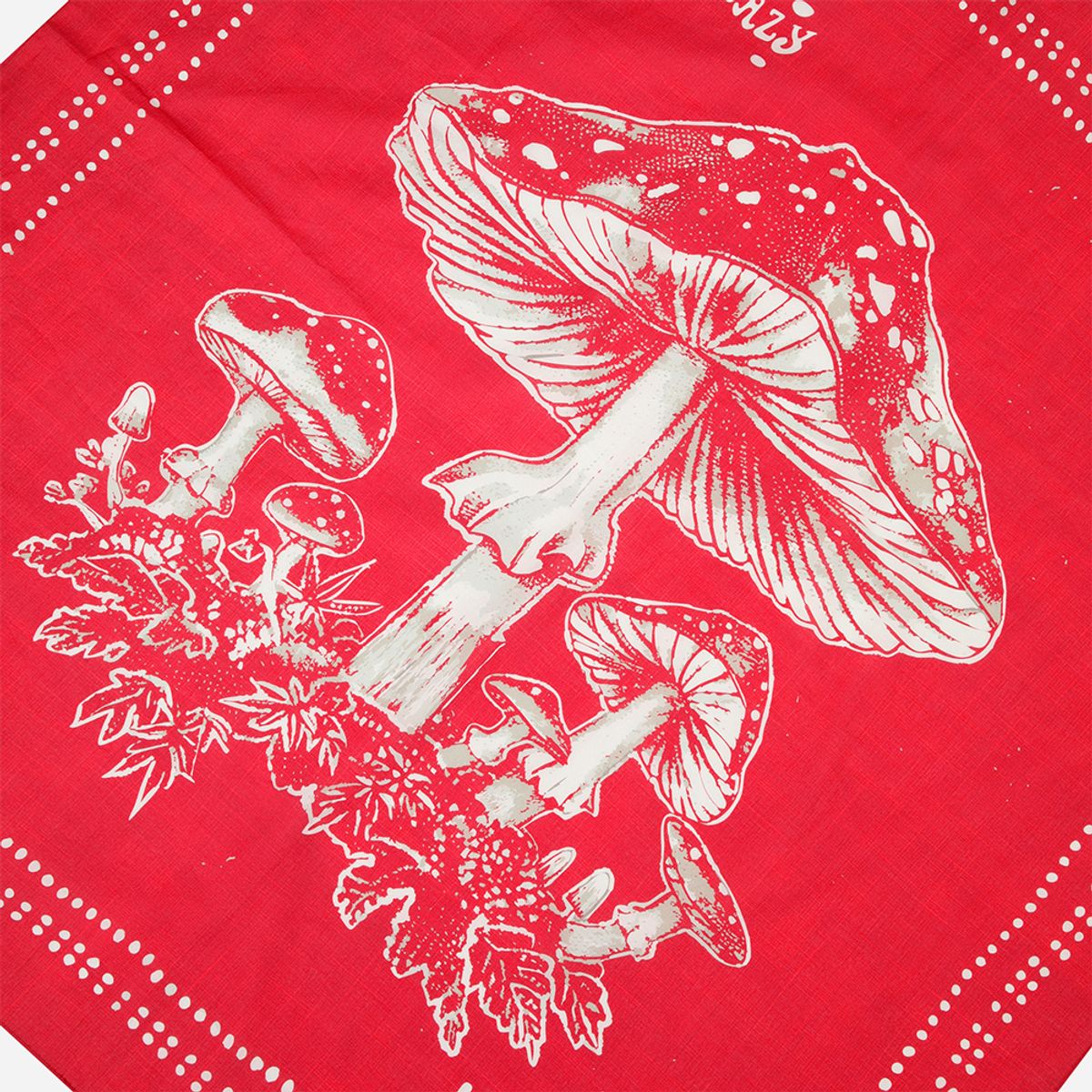 디오디(DOD) 우드 키노코 스카프(RED)