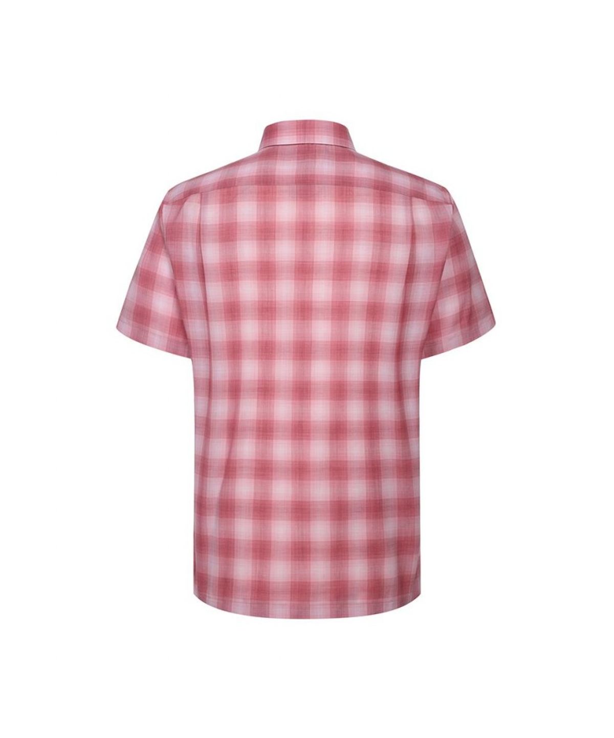 닥스셔츠(DAKS SHIRTS) 울혼방 미디움체크 캐주얼 반팔셔츠_DLS1SHCS103P1