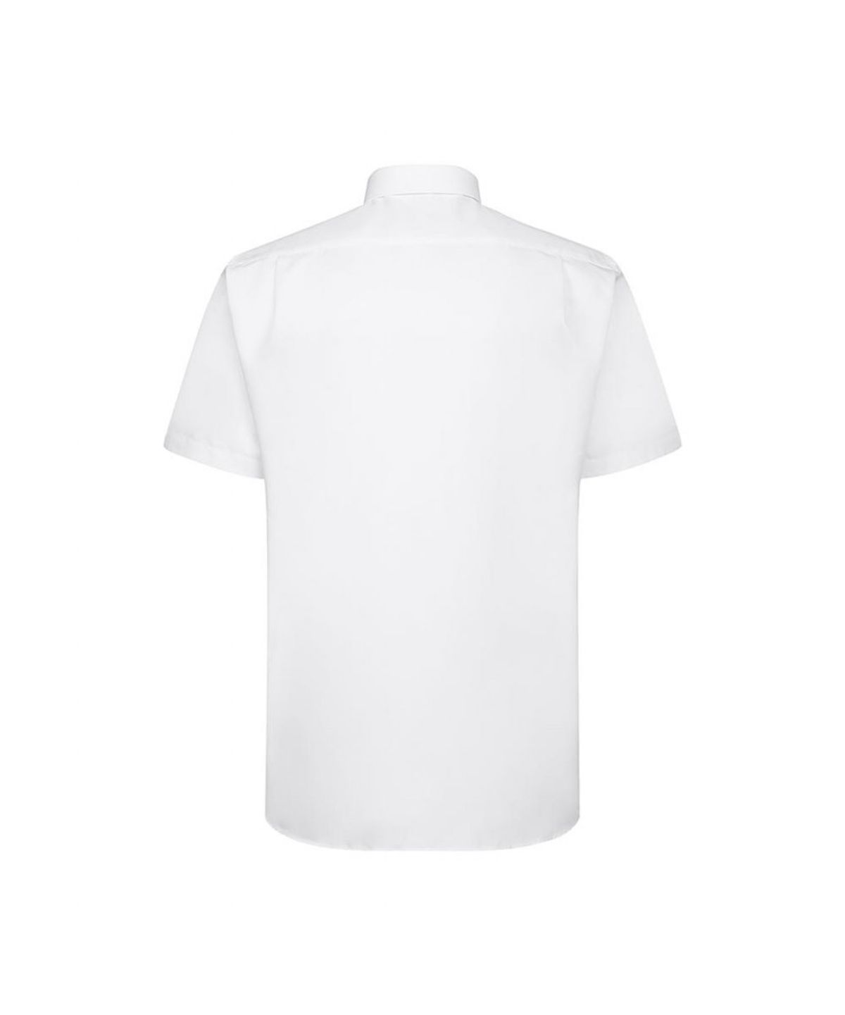 닥스셔츠(DAKS SHIRTS) 면혼방 솔리드 반팔셔츠 레귤러핏 화이트_DLS2SHDS102A1