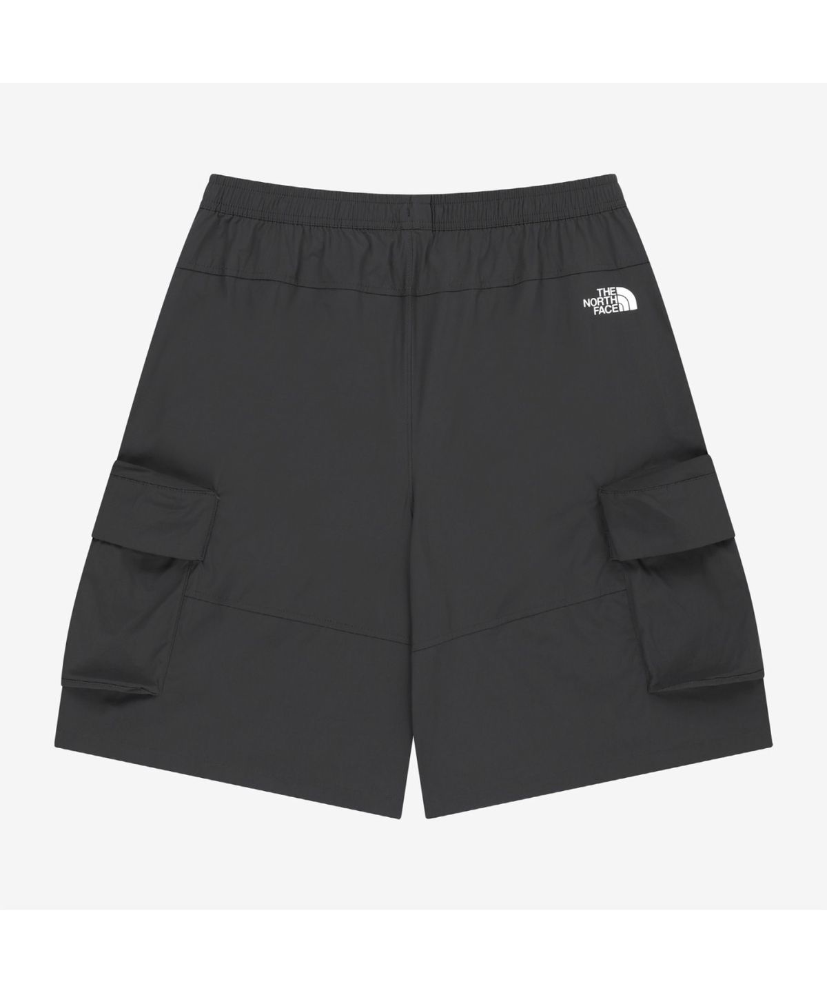 노스페이스(THE NORTH FACE) NS6NS06K 브릴로 카고 쇼츠 DARK GRAY