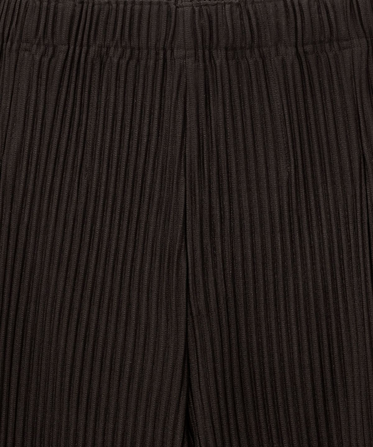 티엔지티 우먼(TNGT WOMAN) W Yoyogi Pleats Wide Pants (Brown) TNPA6E108W2