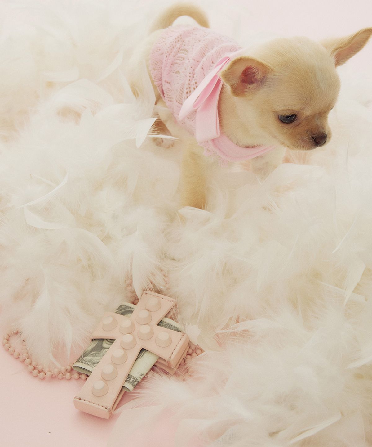 스컬프터(SCULPTOR) Cross Stud Strap Wallet Baby Pink