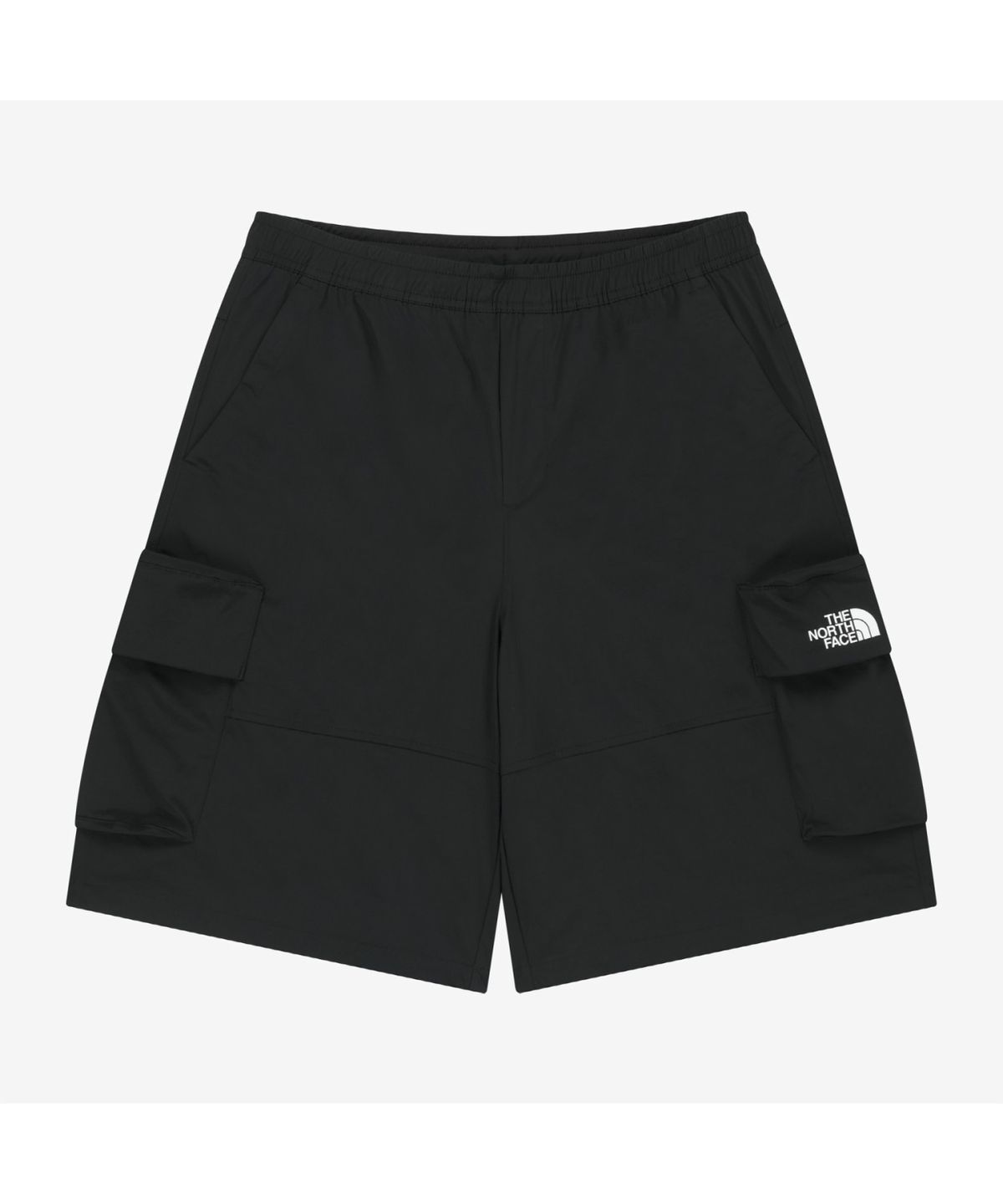 노스페이스(THE NORTH FACE) NS6NS06J 브릴로 카고 쇼츠 BLACK