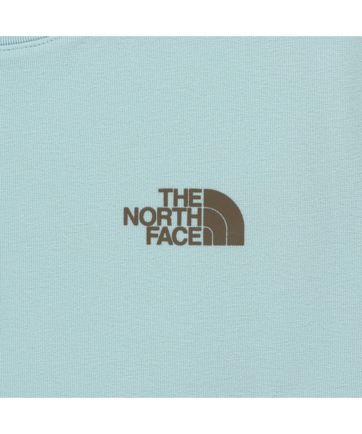 노스페이스(THE NORTH FACE) NT7US09L 지오돔 반팔 티 AQUATIC