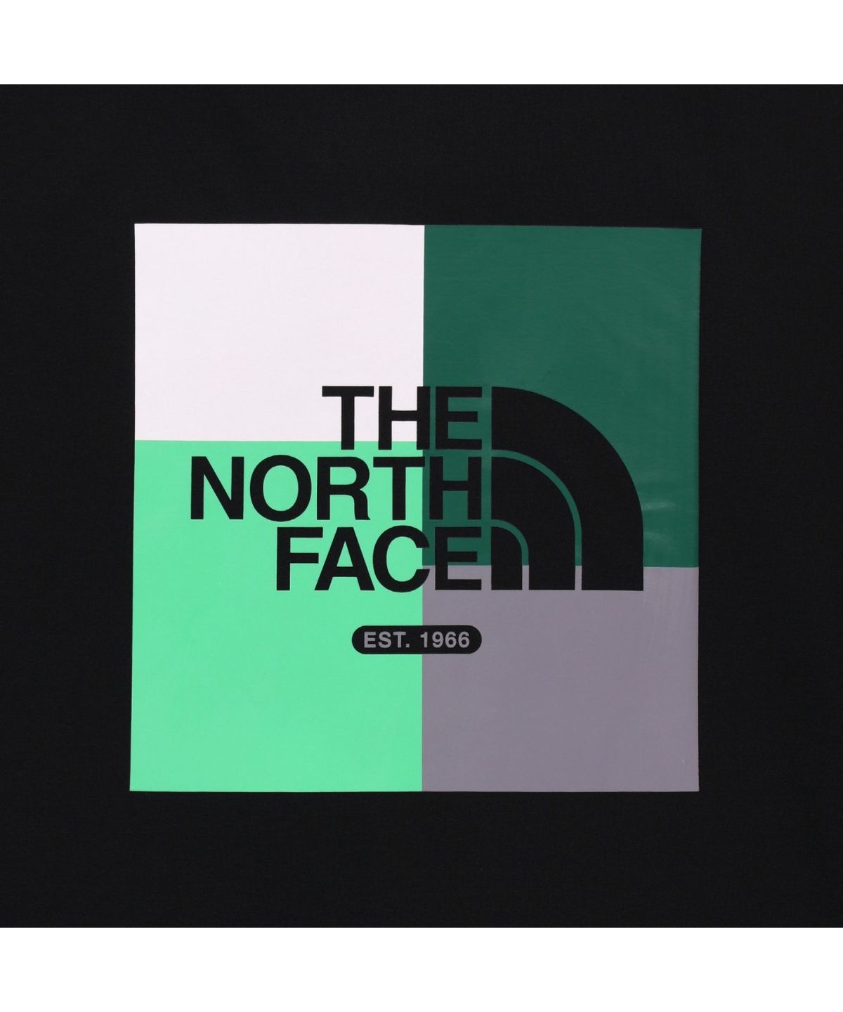 노스페이스(THE NORTH FACE) NT7US22J 컬러픽 EX 반팔 티 BLACK