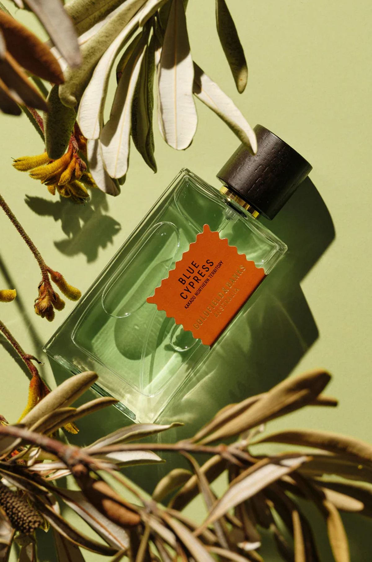 골드필드 앤 뱅크스(GOLDFIELD&BANKS) 블루 사이프러스 100ml
