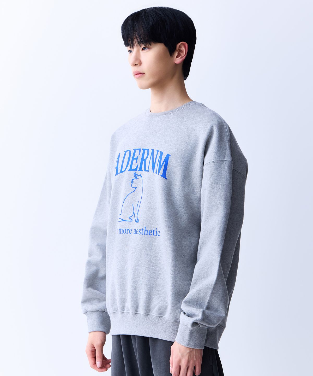 에이던엠(ADERNM) 에이던엠 캣츠 스웨트셔츠 그레이&블루