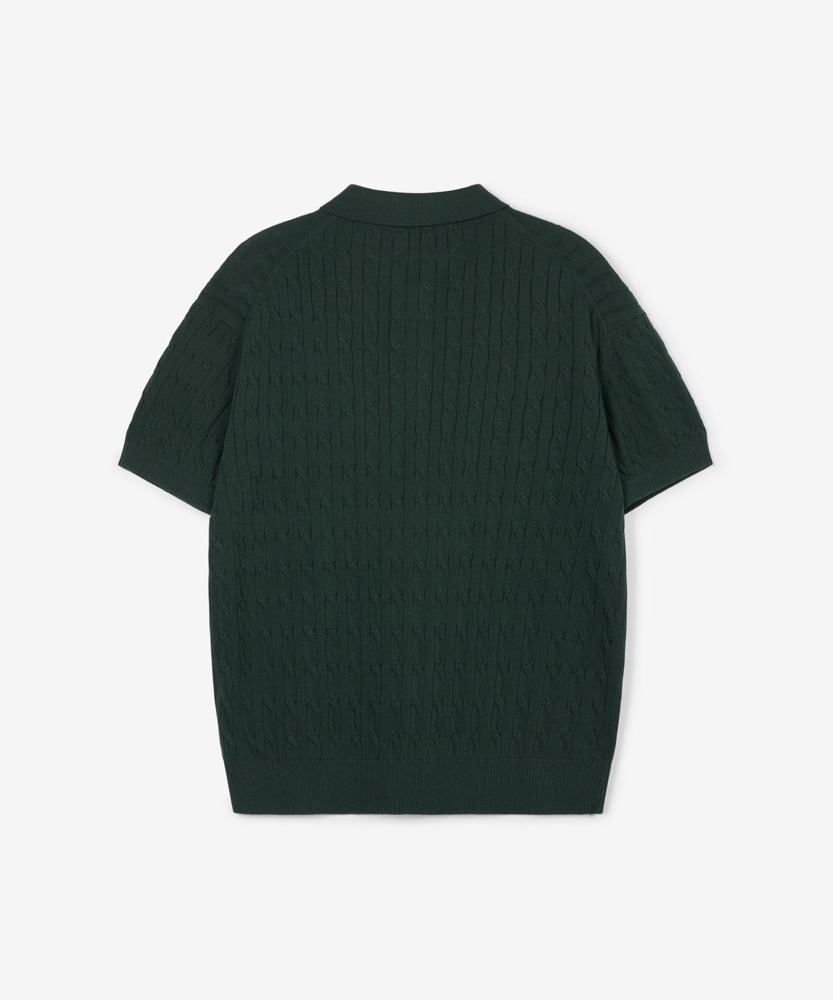 티엔지티(TNGT) Cable Polo Washable Knit (Green) TNSW6E206E2