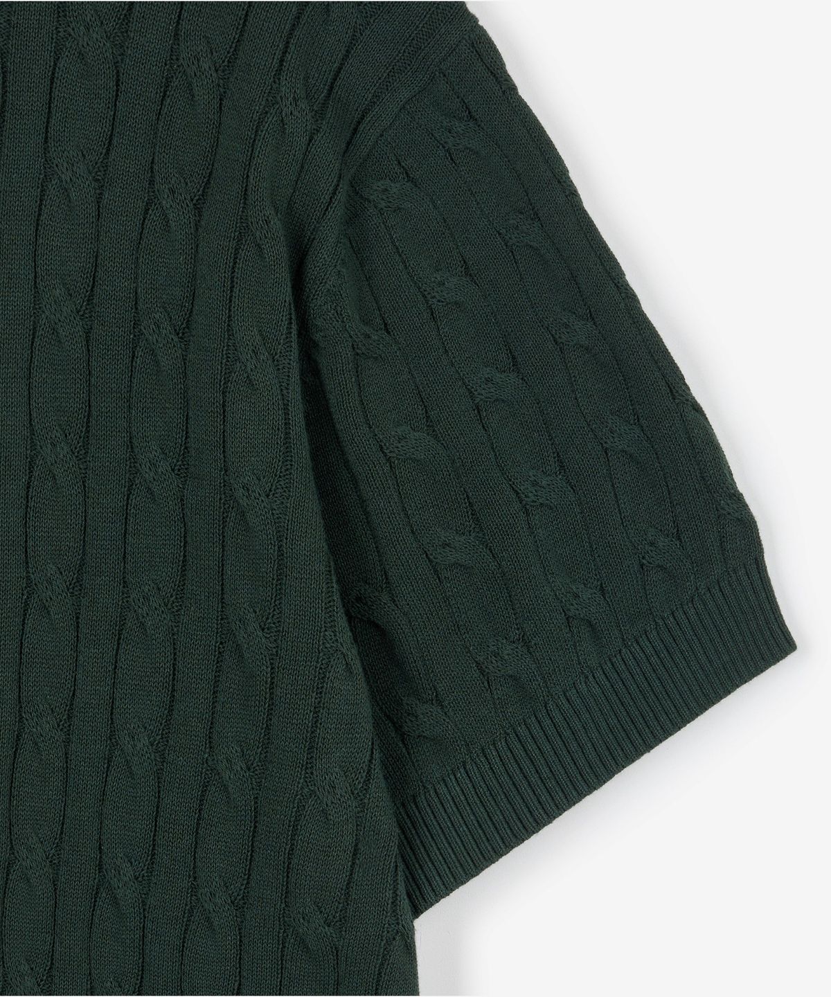 티엔지티(TNGT) Cable Polo Washable Knit (Green) TNSW6E206E2