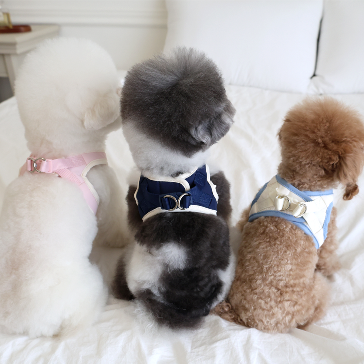 펫츠랜드(PETSLAND) 허그미하네스 +리드줄 세트 3Color S-L
