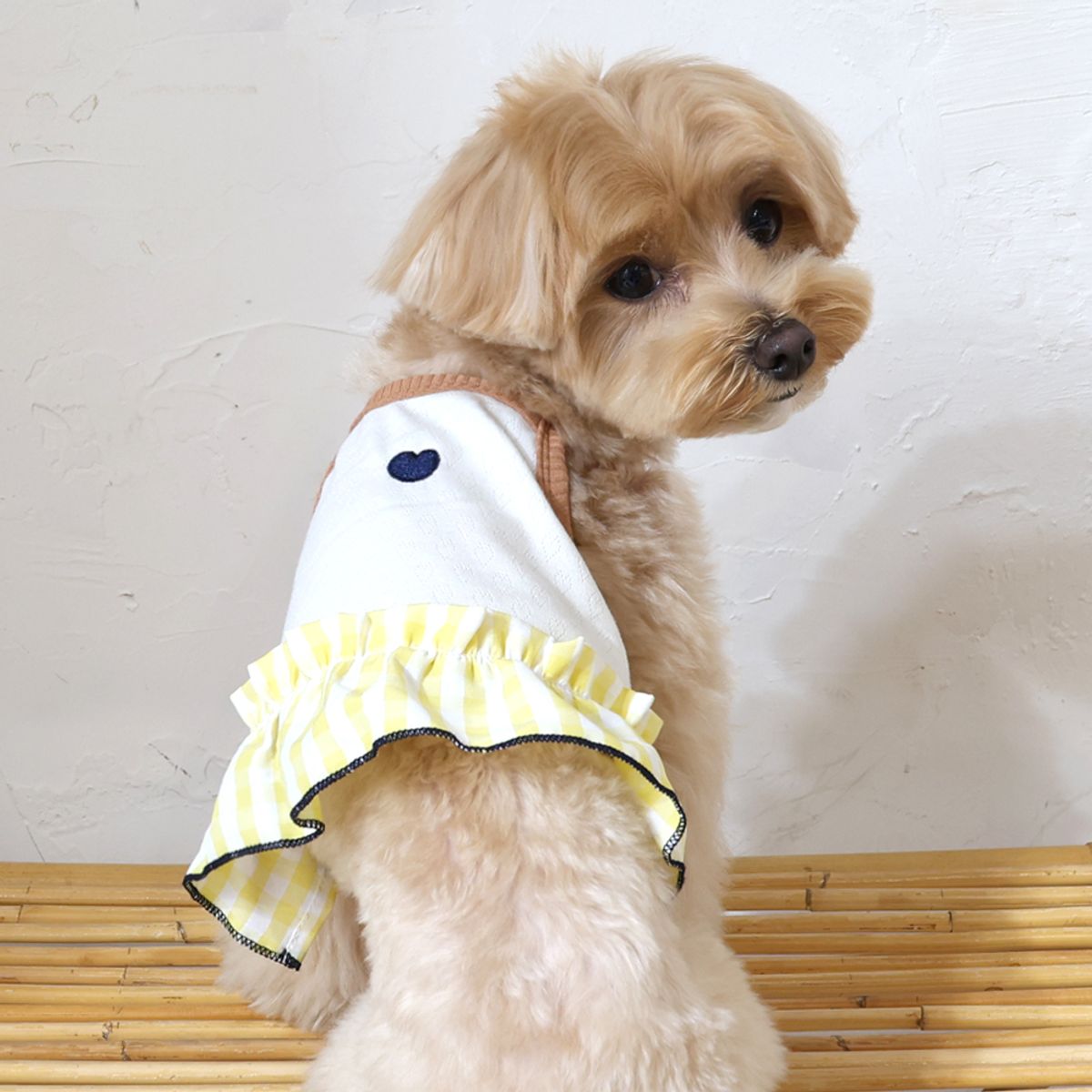 펫츠랜드(PETSLAND) 리틀체크원피스 2color S-2XL