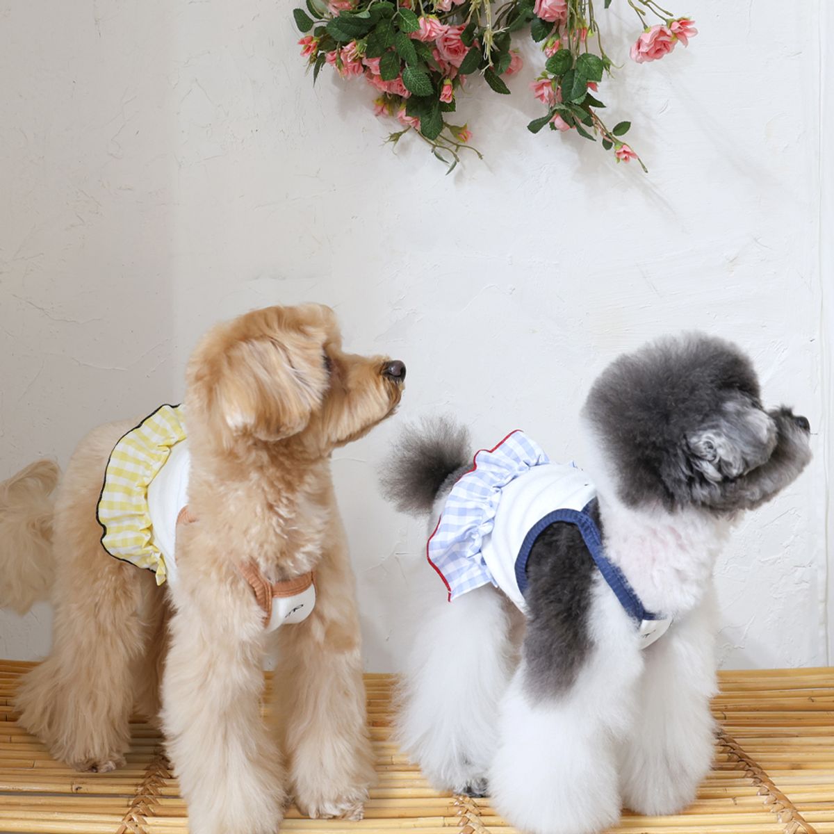 펫츠랜드(PETSLAND) 리틀체크원피스 2color S-2XL