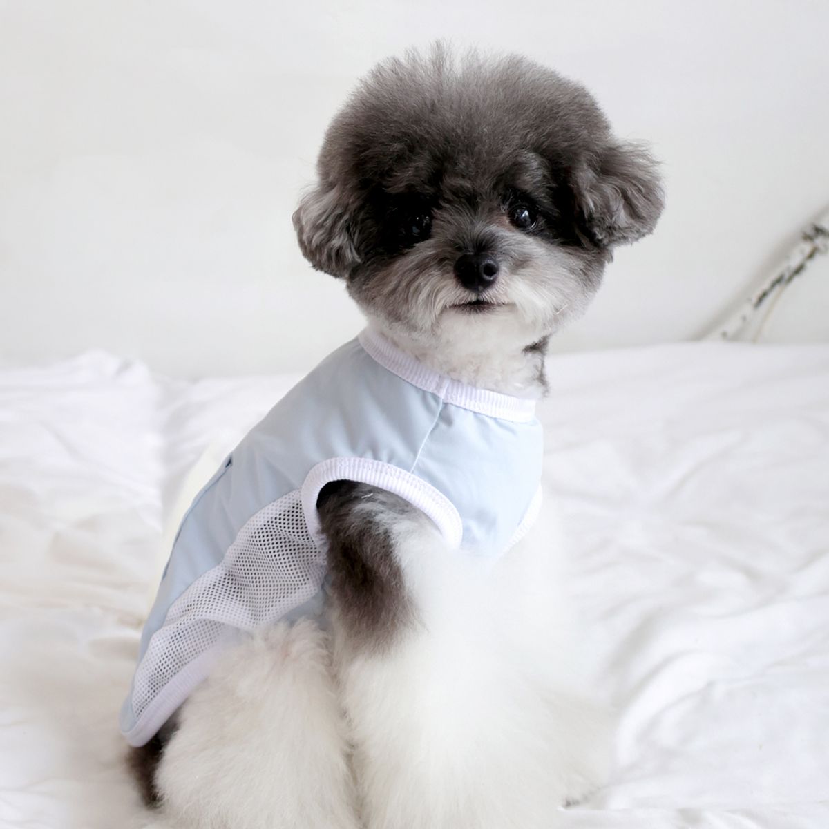 펫츠랜드(PETSLAND) 아이스포켓쿨티 3color S-2XL