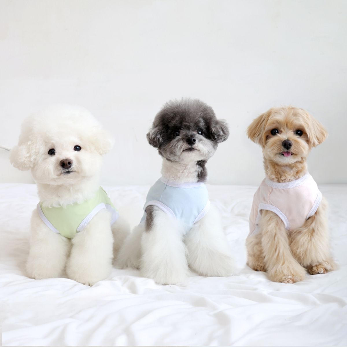펫츠랜드(PETSLAND) 아이스포켓쿨티 3color S-2XL