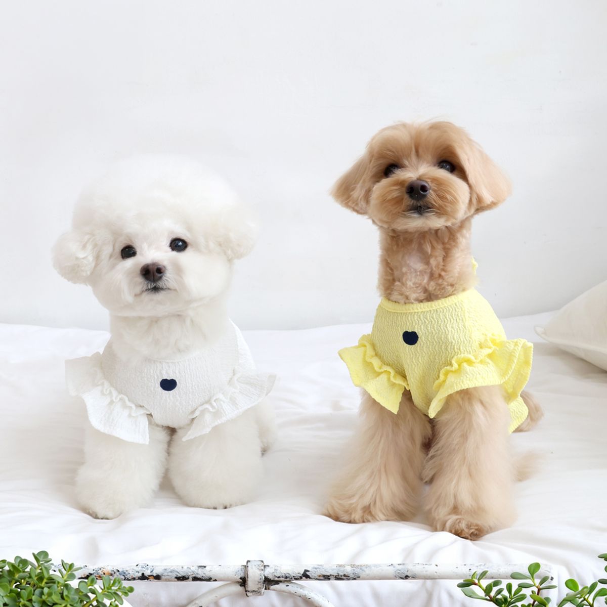 펫츠랜드(PETSLAND) 데이지프릴탑 2color S-2XL