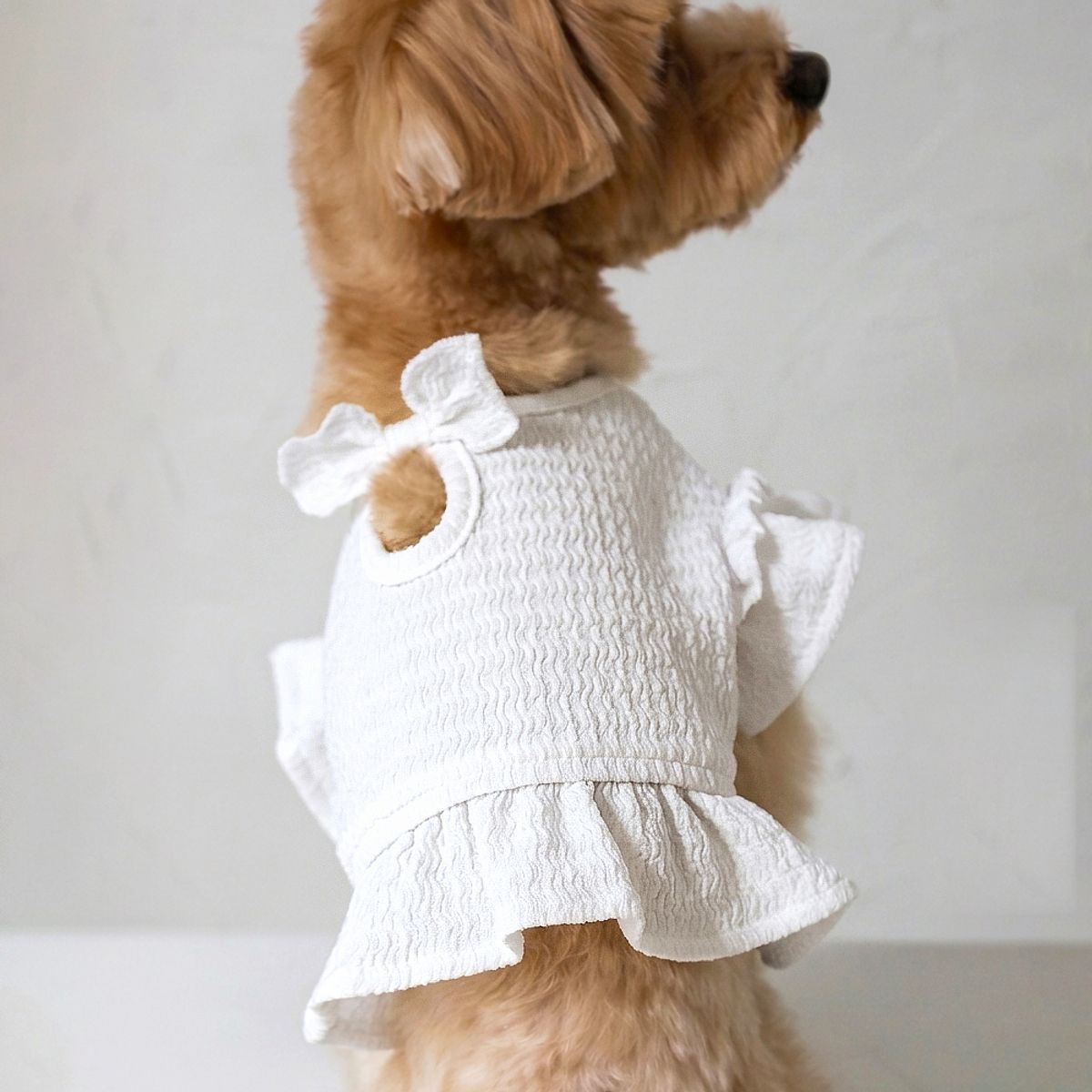 펫츠랜드(PETSLAND) 데이지프릴탑 2color S-2XL