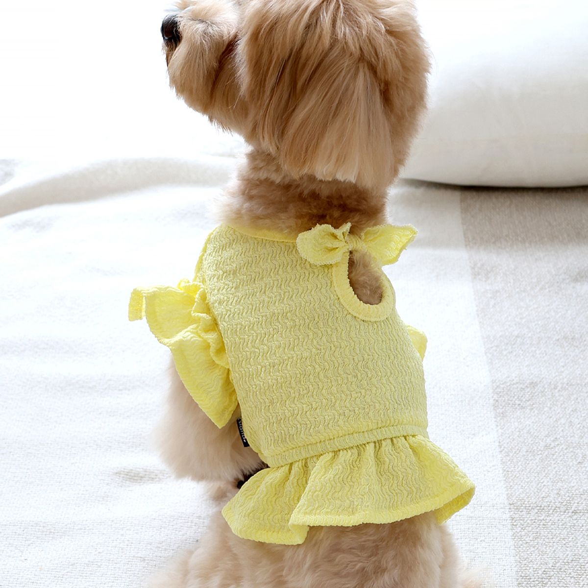 펫츠랜드(PETSLAND) 데이지프릴탑 2color S-2XL