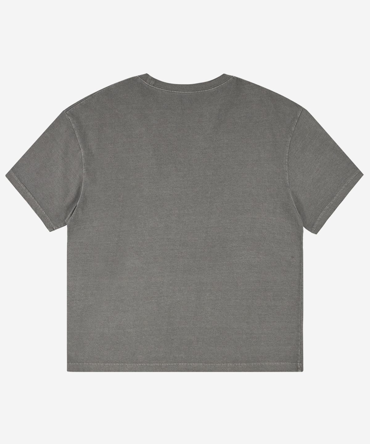 노디(NODI) Trouble Skull Dept pigment crop Tee light gray