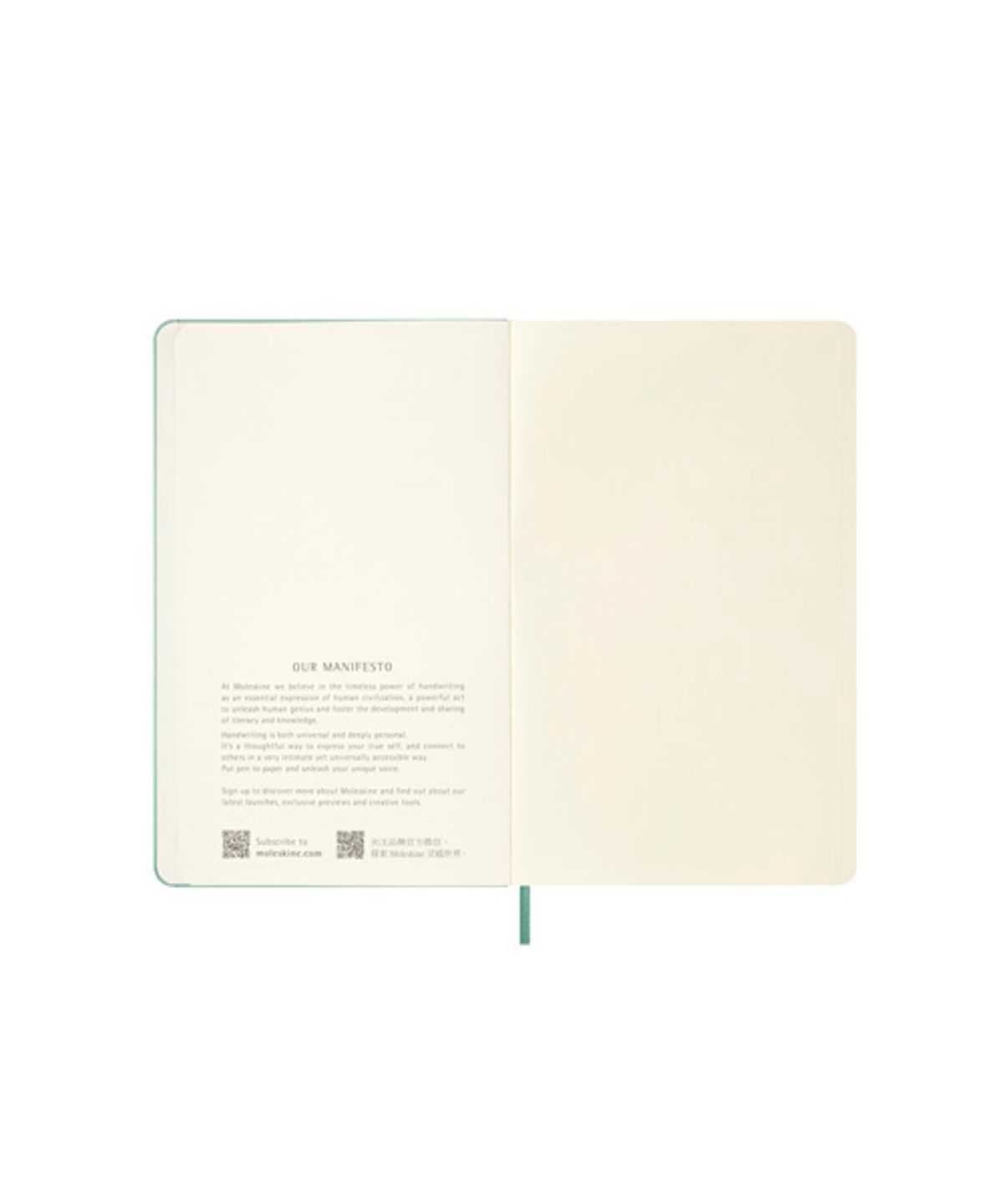몰스킨(MOLESKINE) [26 시즈널 컬러]클래식노트 플레인/세이지그린 하드 L