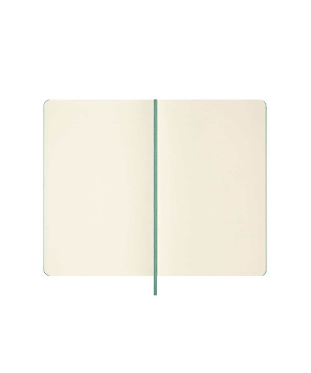 몰스킨(MOLESKINE) [26 시즈널 컬러]클래식노트 플레인/세이지그린 하드 L