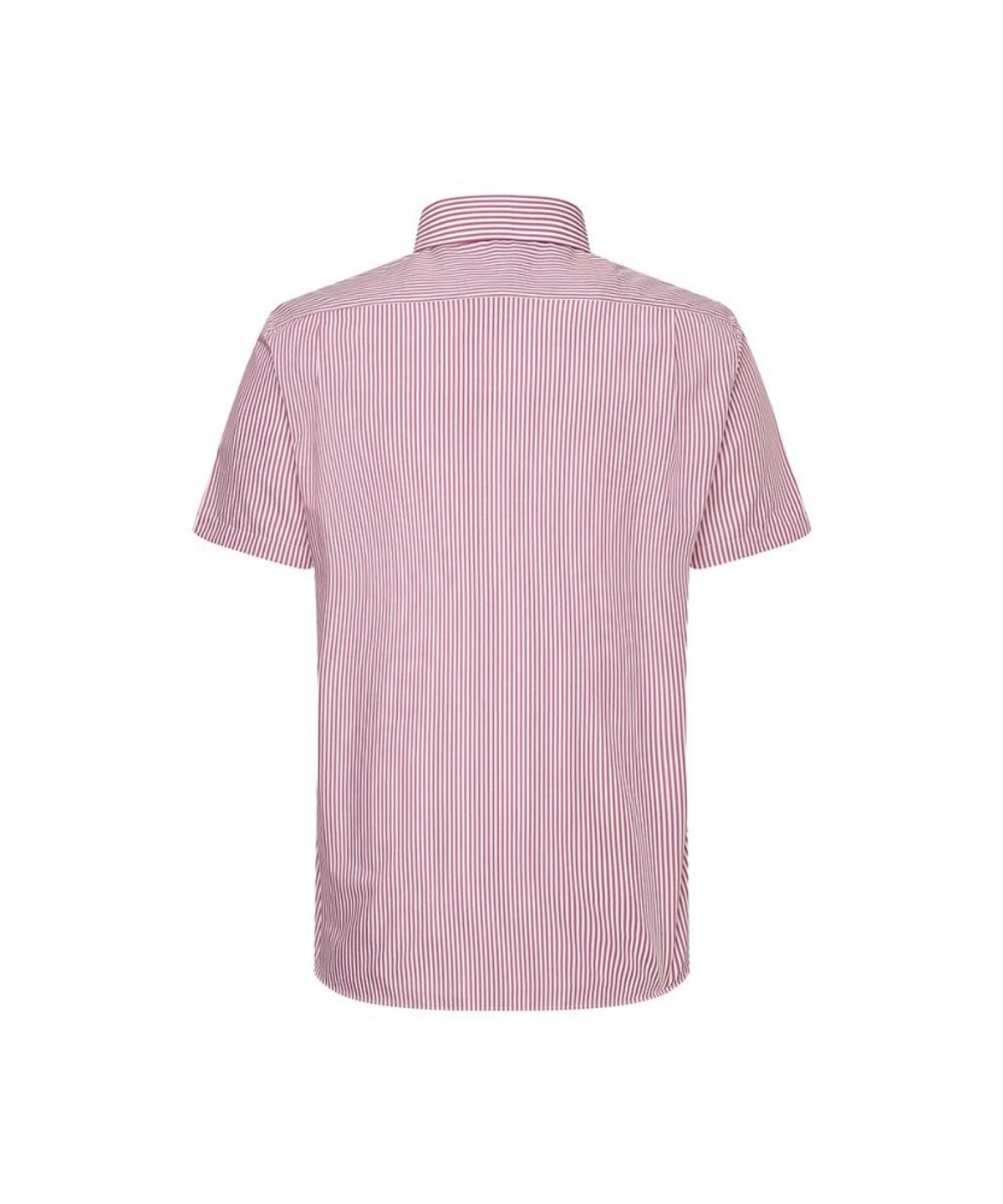 닥스셔츠(DAKS SHIRTS) 면혼방 스트라이프 드레스 반팔셔츠 레귤러핏_DLS2SHDS424R1