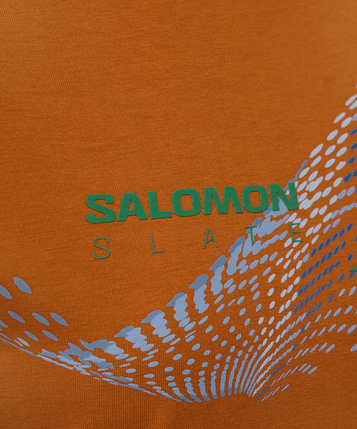 살로몬(SALOMON) 파로 숏 슬리브 W_LD0070100