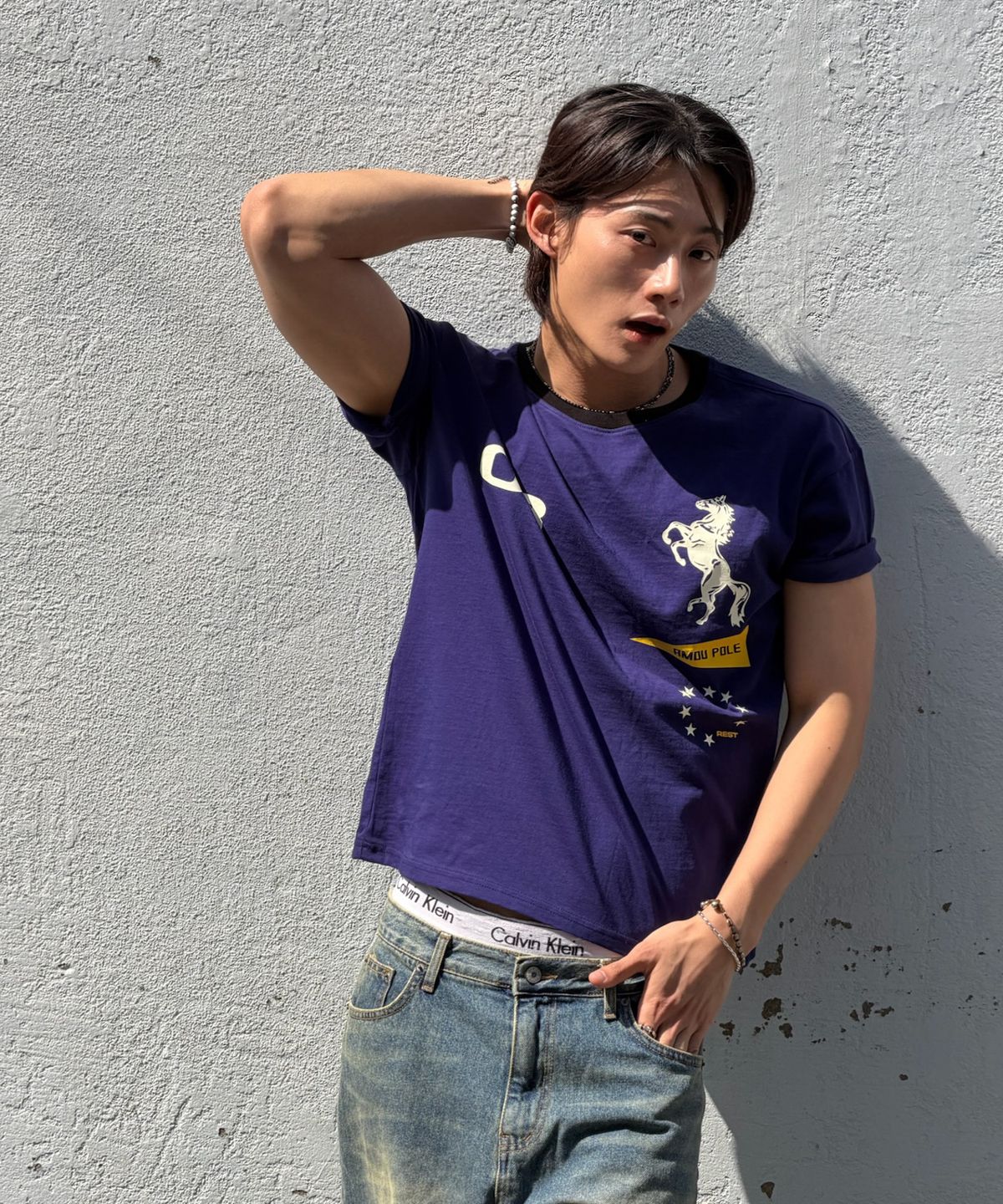 아모우(AMOU) Sporty Horse  Half T-shirts PURPLE