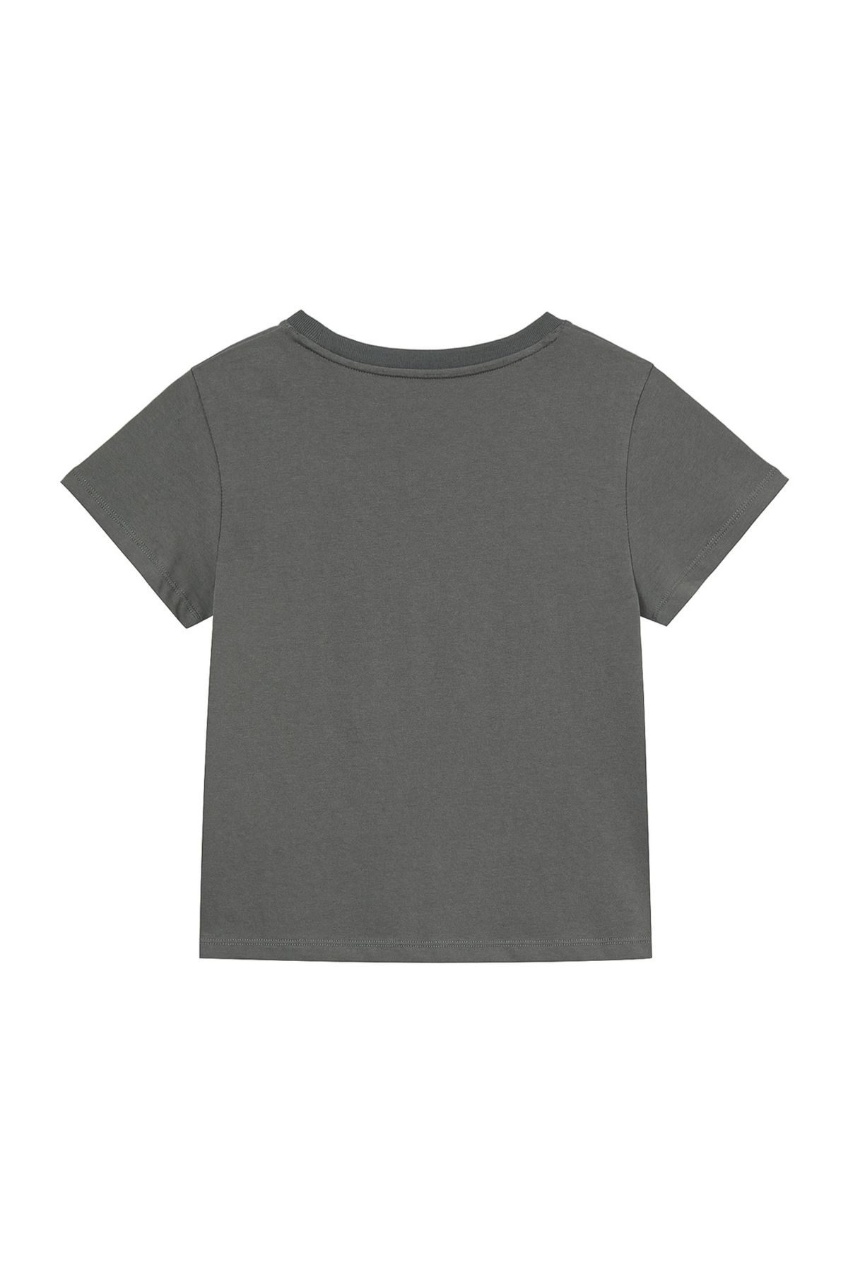 다이닛(DEINET) BI GRAPHIC SLIMSIZED T-SHIRT IN CHARCOAL