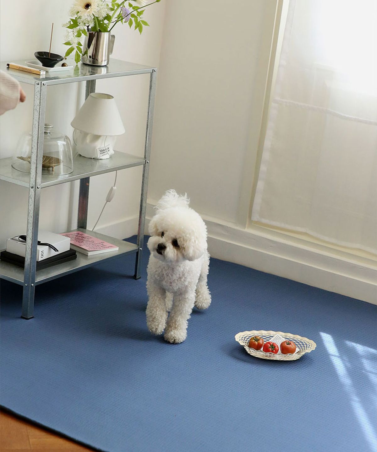 메종드룸룸(MAISON DE ROOMROOM) 냉감 시어서커 반려동물 워셔블 여름 러그