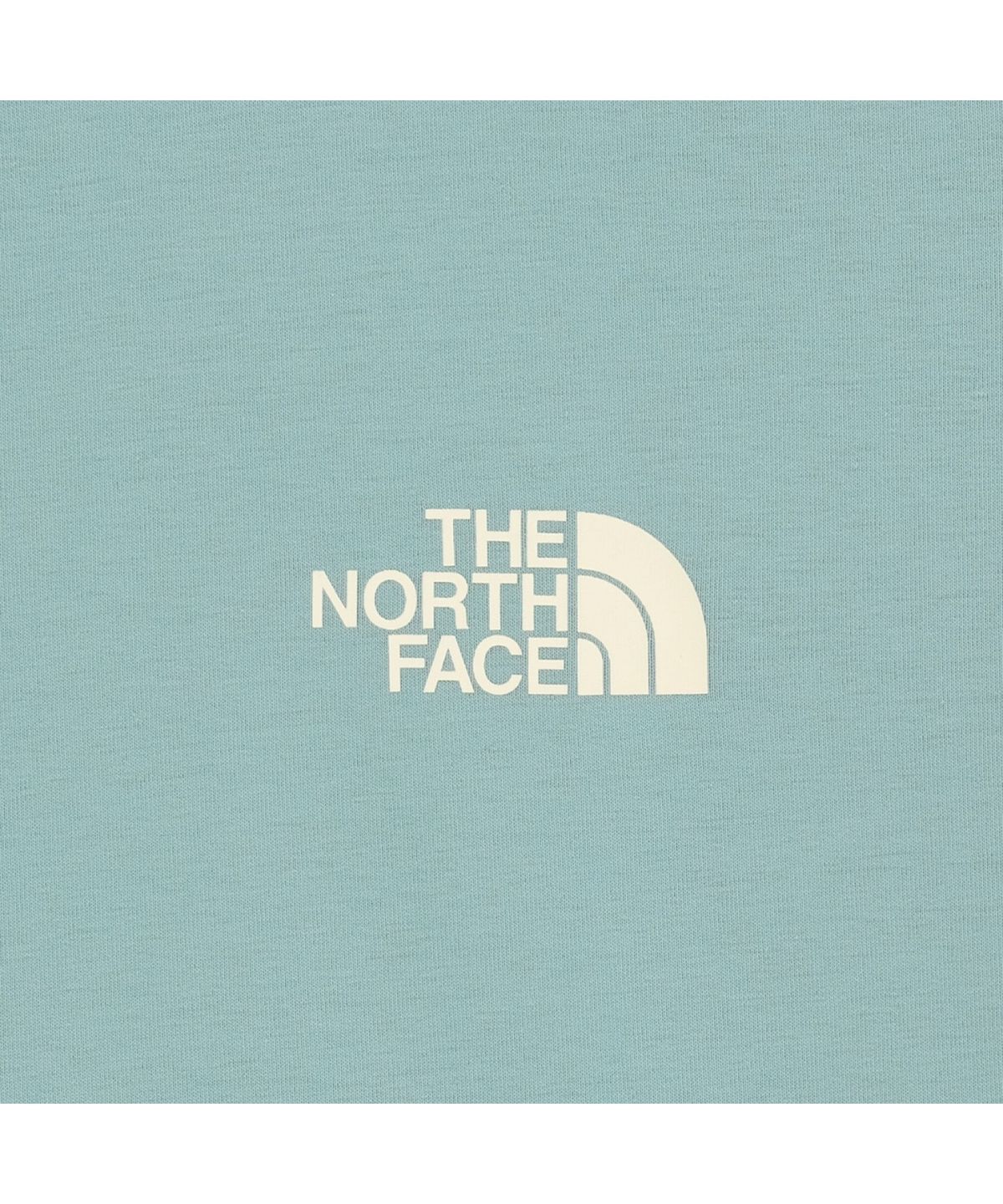 노스페이스(THE NORTH FACE) NT7US24M 트루타 반팔 티 GRAYISH TURQUOISE