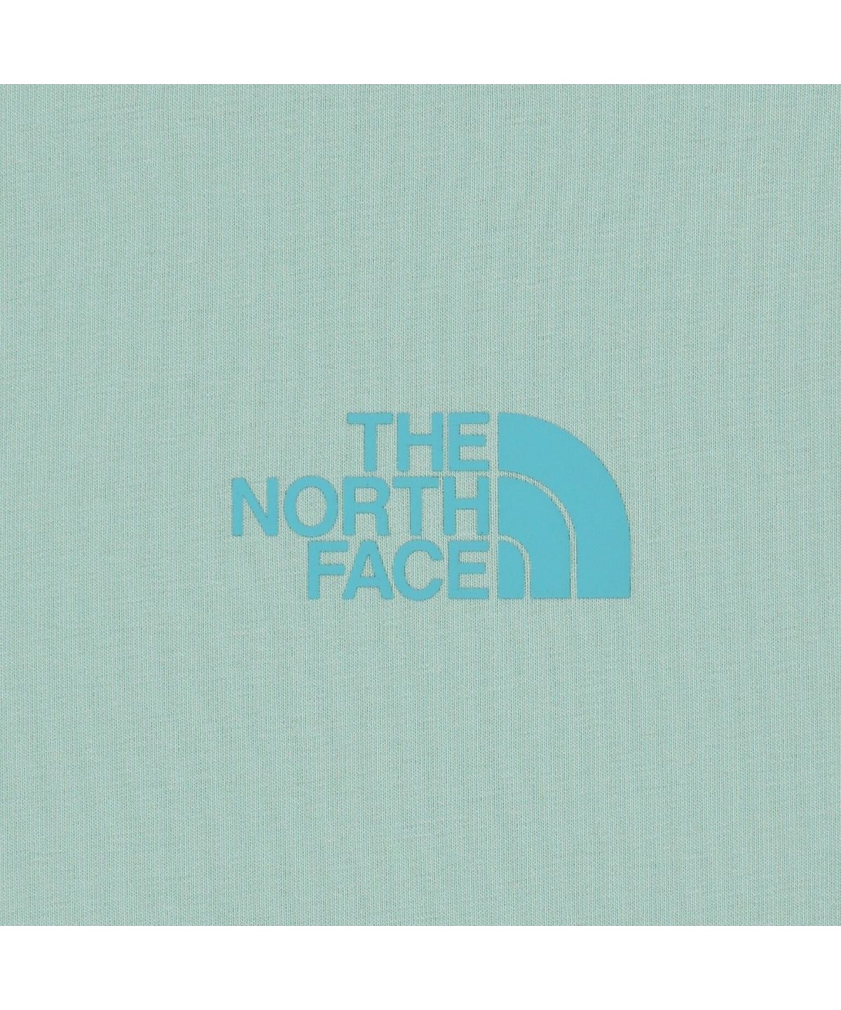 노스페이스(THE NORTH FACE) NT7US07M 와일드플라워 반팔 티 PASTEL TURQUOISE