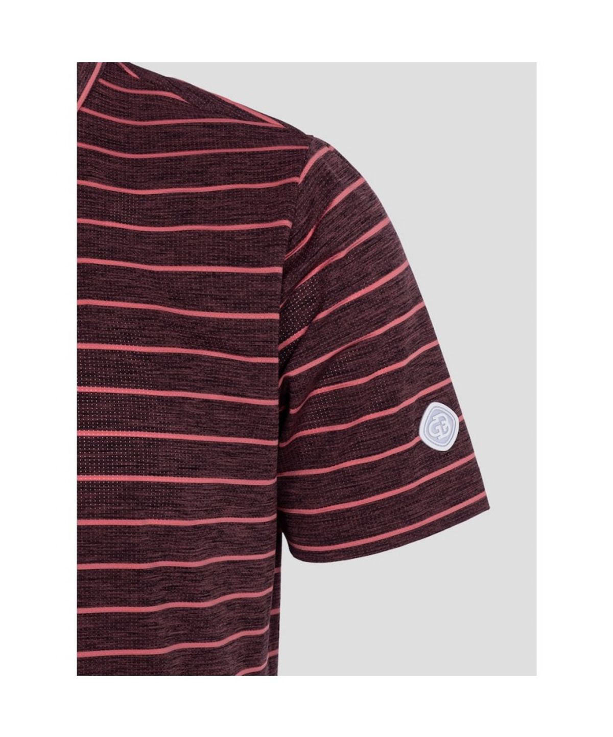 빈폴골프(BEANPOLE GOLF) 남성 스트라이프 반소매 티셔츠 - 레드