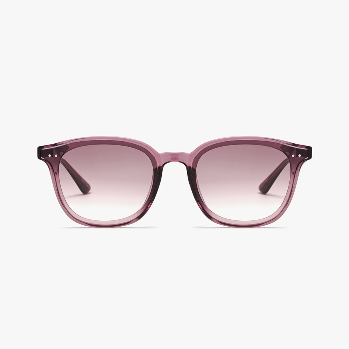 휠라 아이웨어(FILA EYEWEAR) 선글라스(FLS7446 HOLLYBERRY 65)