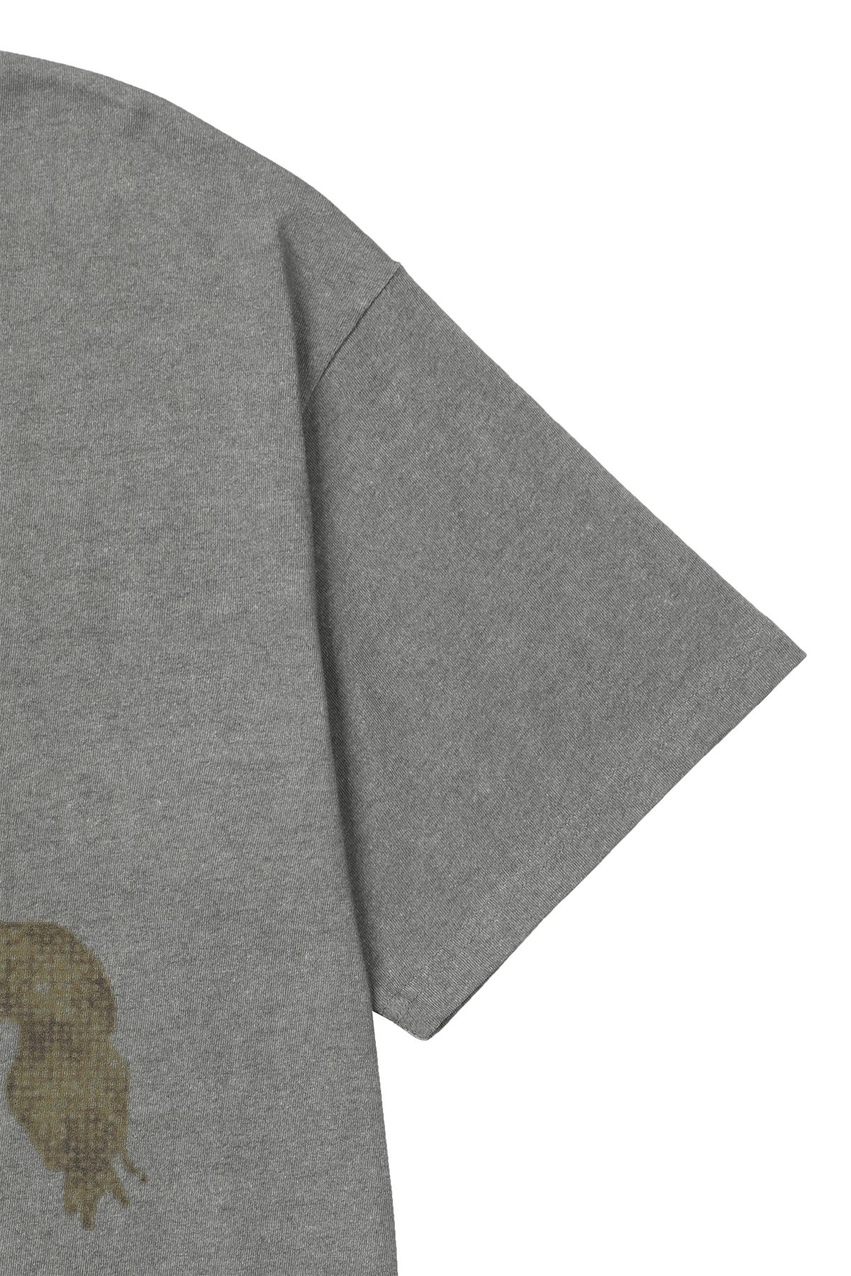 다이닛(DEINET) HORSE GRAPHIC T-SHIRT IN GREY