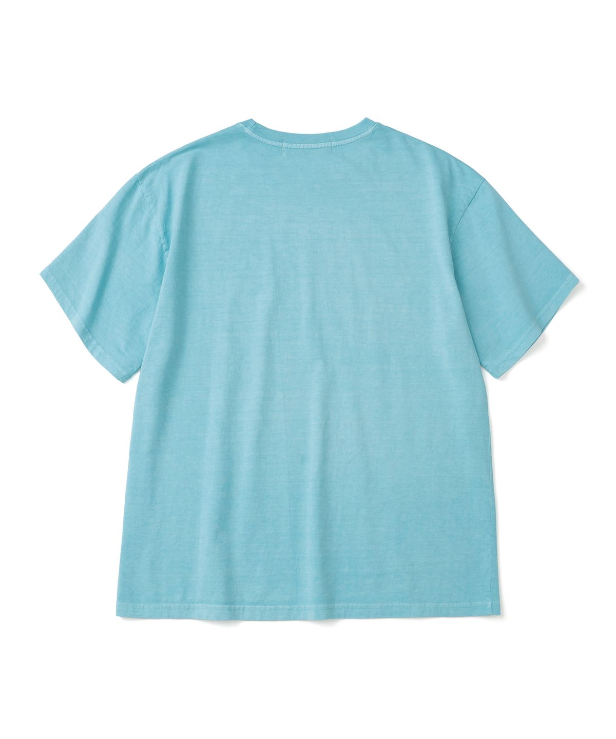 니티드(KNITTED) (UNISEX) 피그먼트 팜트리 그래픽 티셔츠 AQUA