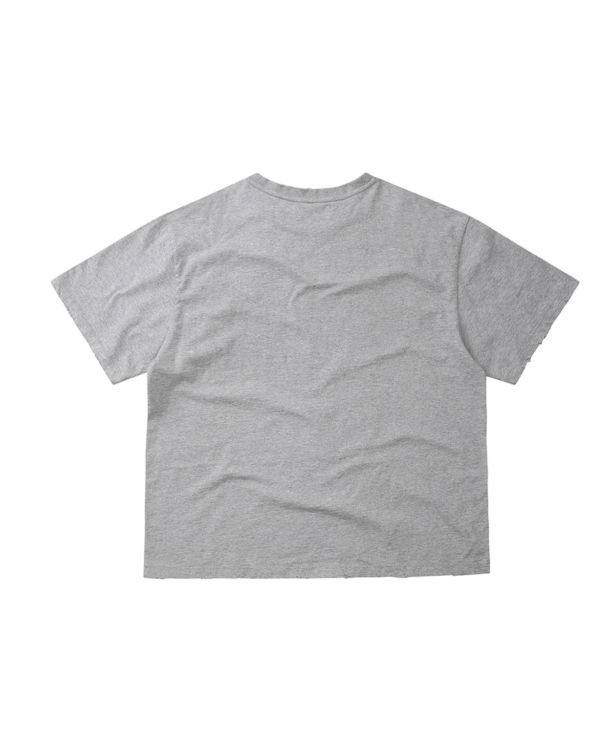 이이이알알알(EEERRR) Saint licence artwork over-crop fit damaged T-shirt (Melange)
