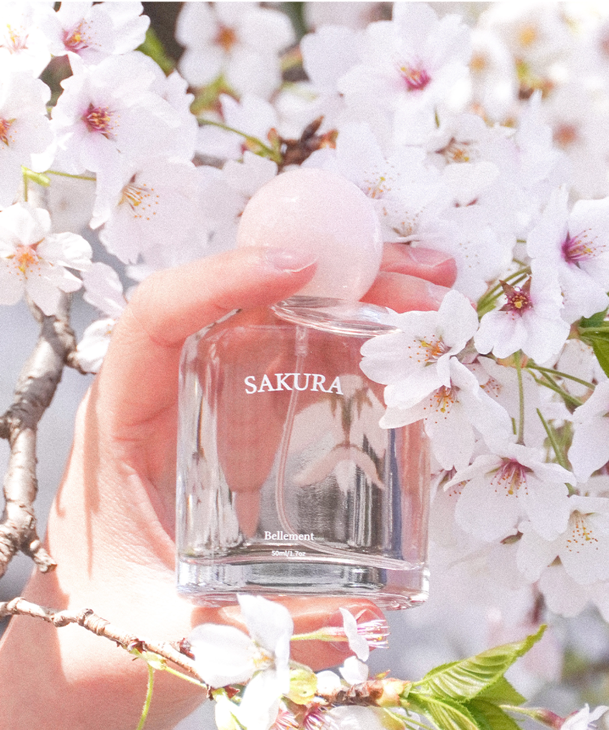 벨망(BELLEMENT) 시그니처 퍼퓸 사쿠라 EDP 50ml