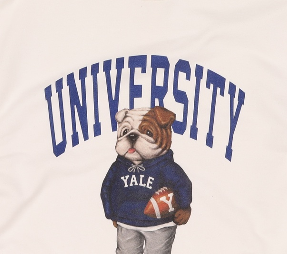 예일(YALE) 맨투맨/스웨트셔츠 2