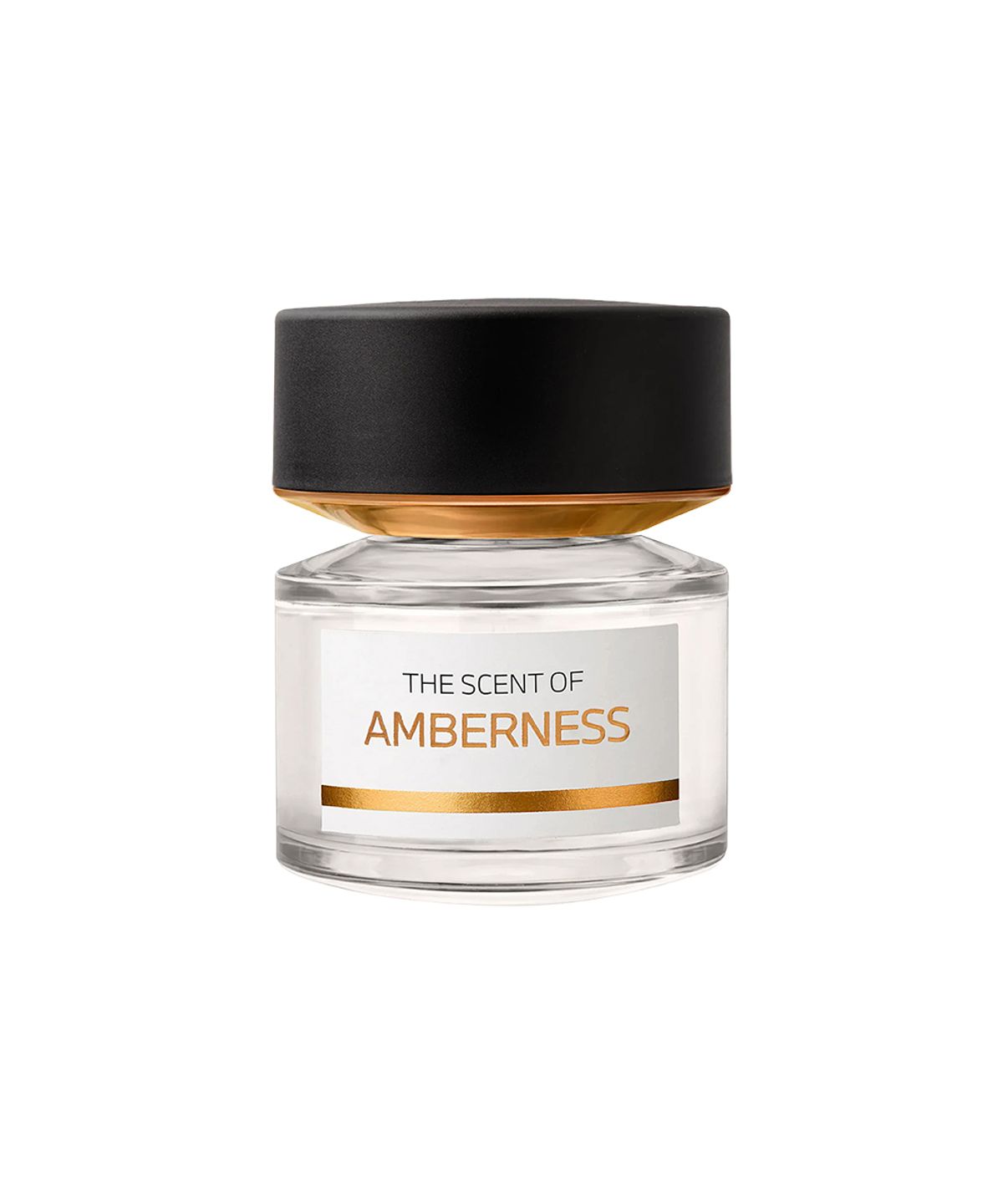 비엠더블유향수(BMW PERFUME) 앰버니스 오드퍼퓸 50ml